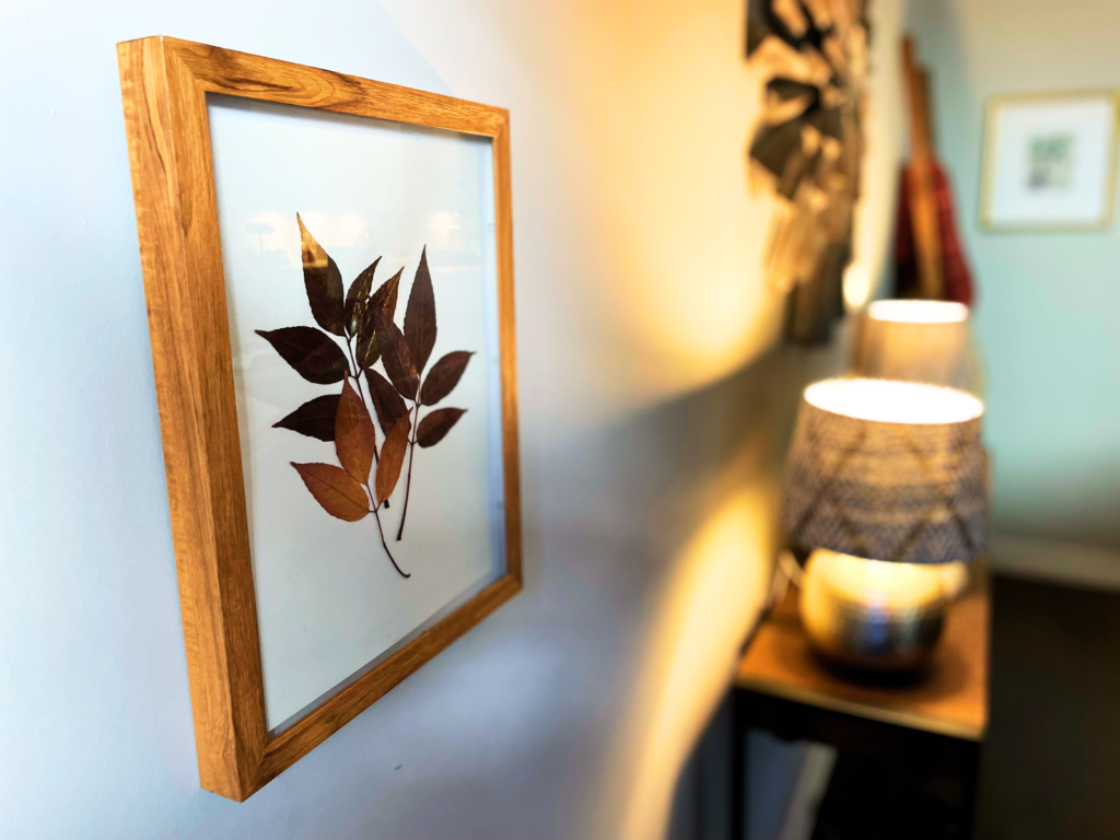 framed dried leaves as art on a wall